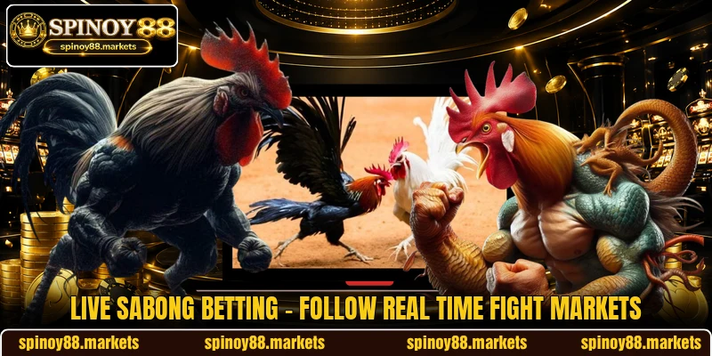Live Sabong Betting - Follow Real Time Fight Markets Live Sabong Betting - Follow Real Time Fight Markets