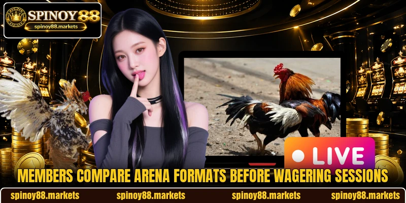 Members compare arena formats before wagering sessions Members compare arena formats before wagering sessions