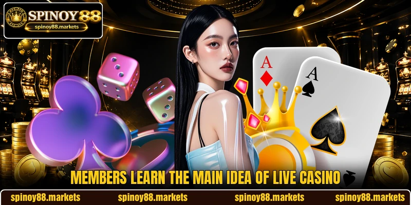 Members learn the main idea of live casino Members learn the main idea of live casino