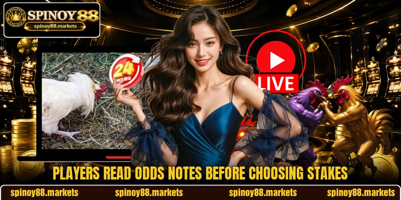 Players read odds notes before choosing stakes Players read odds notes before choosing stakes
